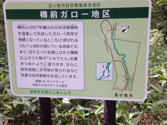 �ꉞ�Ŕ�����܂����A�����܂ł��ǂ蒅���̂���ςł���_�M�O�K���[