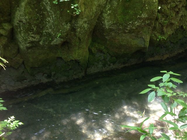 ������������ŃL���L��_�M�O�K���[