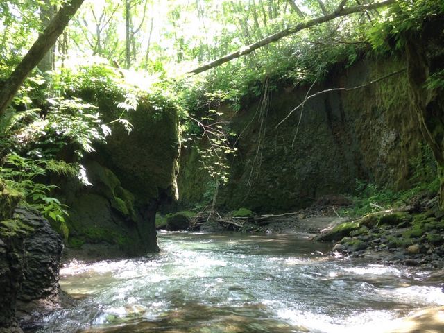 ��܂ō~��čs���̂ɂ��傤�Ǘǂ������ȏꏊ������܂�_�M�O�K���[