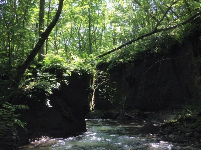 ������_�M�O�K���[