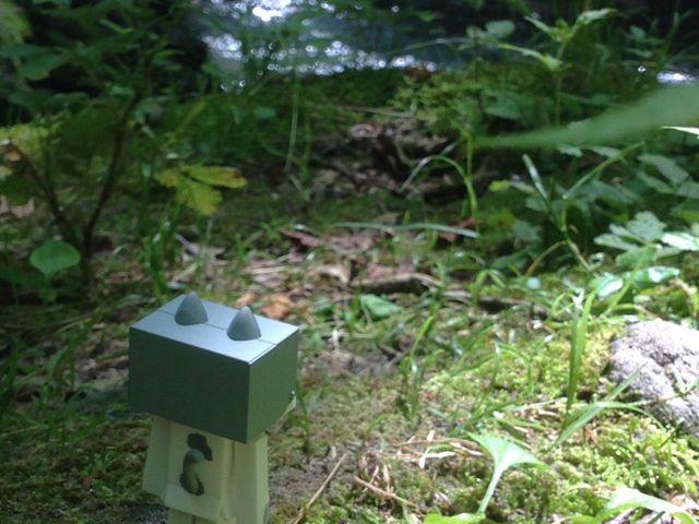 �j�����{�[������_�M�O�K���[