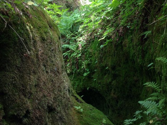 �ۂ������������~��čs���܂�_�M�O�K���[