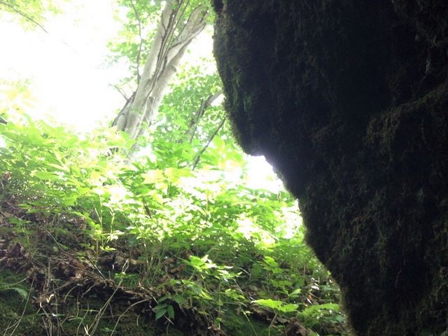 �}�C�i�X�C�I��_�M�O�K���[