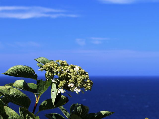 ���C�Ƌ�_�����ӊC��