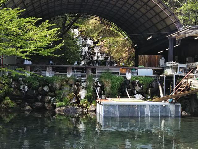 C`[̑q̑厩R̗ Ȉ̓eʐ^1