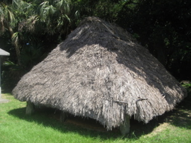 ���i����̐_�A�T�M�̓��e�ʐ^1