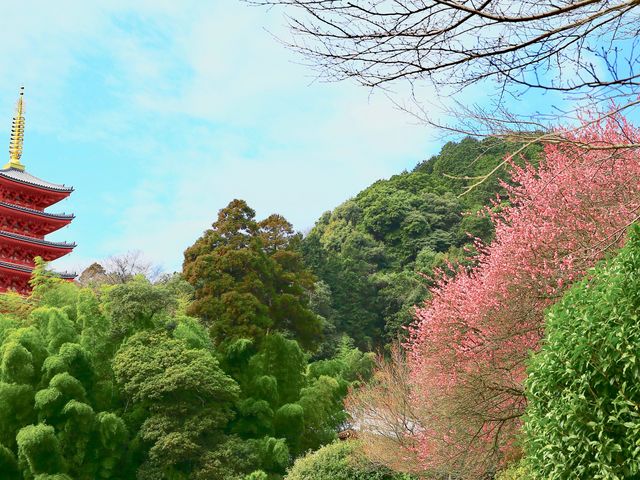 ���̉�_���{�R�@�{����