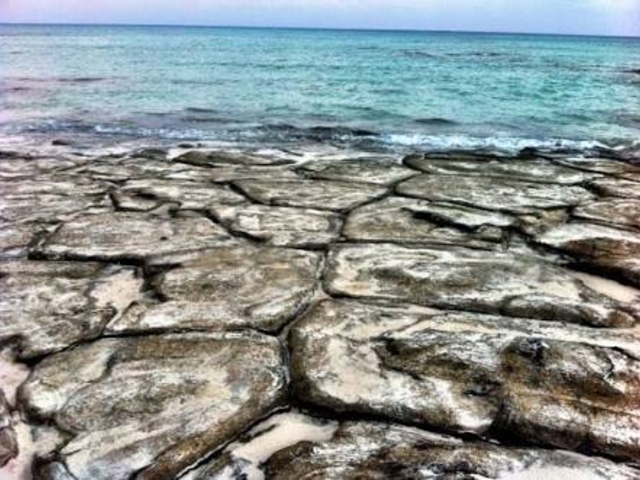 �߂��Ⴍ���ኴ��_�������C��