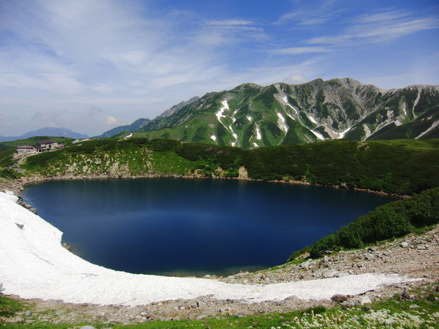 �W���ɂ܂��Ⴊ�c���Ă��܂���_�݂��肪�r