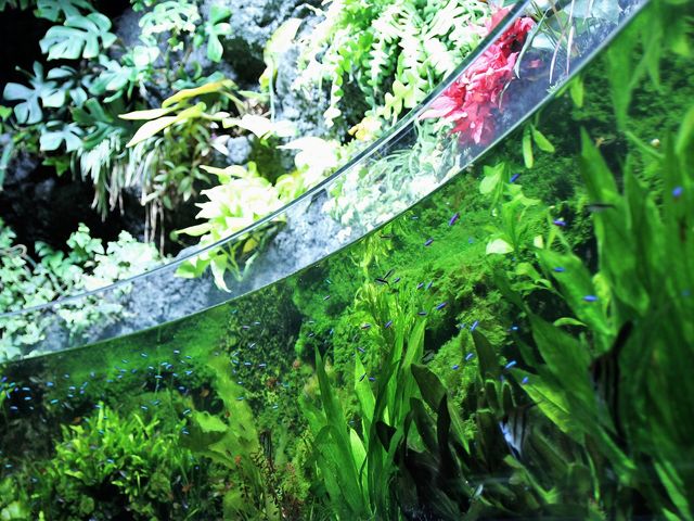 �M�ы�_�T�P�̂ӂ邳�Ɛ�ΐ�����