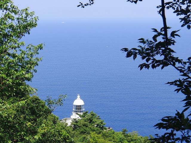 ����Ɠ��{�C_�o��������