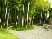 {[_[̂炵҂GARDEN̓eʐ^1