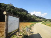 ���i����̒���(�R�ǋy�ъR���̓���A���Q��)�̓��e�ʐ^1