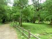 _ChKXg̋vg򎩑RxɑÊ̗̓eʐ^2