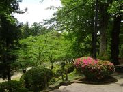 pon񂳂̐H̃ccW̓eʐ^1