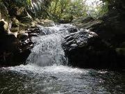 ���i����̍r��̑�̓��e�ʐ^1