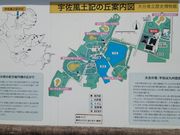 ڗ̎jՌFyL̋u̓eʐ^1