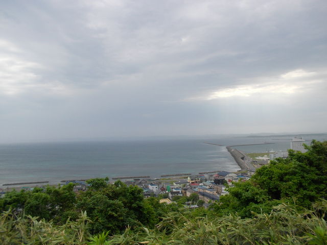 �t���̊C_�X��̖�