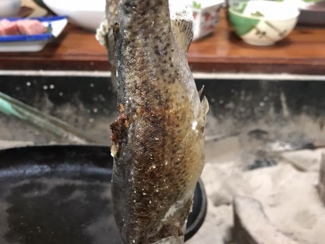 ���̉��Ă�_���h�@���R