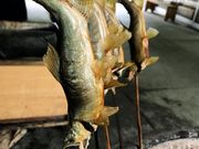 ~ȉ쑺ӂꂠق̓eʐ^2