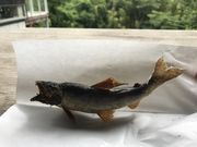 ~ȉ쑺ӂꂠق̓eʐ^3