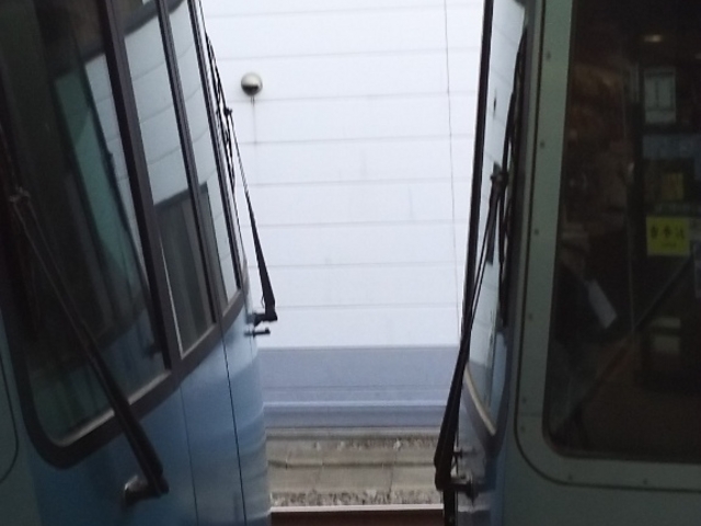 �A��_���c�}�d�S���͑��w