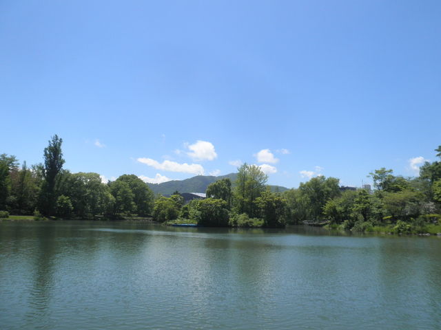 �����̏Ҋ��r_��������