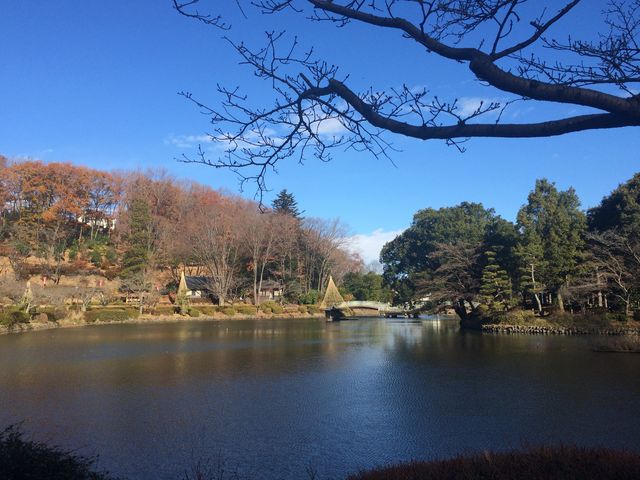 tr_ctrlGʂ̓mڂ񉀁icڂ񉀁j