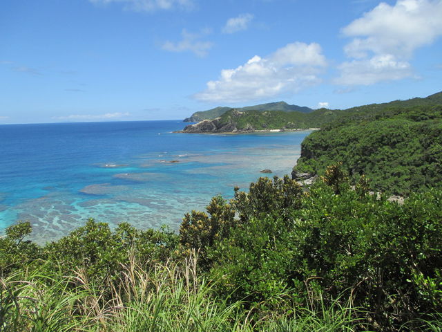 �V��W�]�䂩��_���Ó�