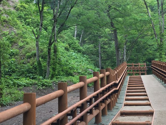 �}�C�i�X�C�I�������Ղ�_�H�߂̑�