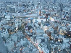 ܂ҁ[̃TVC60W] Ăڂp[Nւ̓eʐ^1