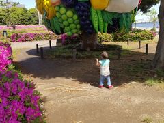 肳̗Ս`p[Nւ̓eʐ^1