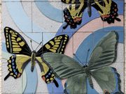 Ƃ񂳂̓̉w ̗т̓eʐ^9