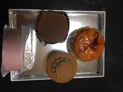 artneko����̑���J�V���̓��e�ʐ^2