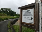 panchan̉ԍՂ̓eʐ^6