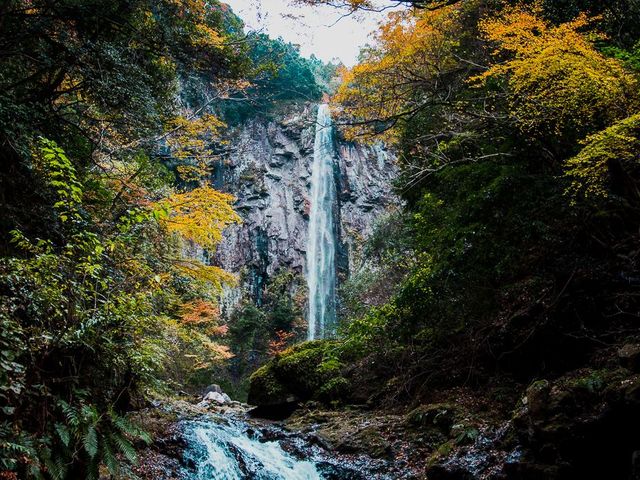 ���ŉ��̑�g�t_���ŉ��̑�