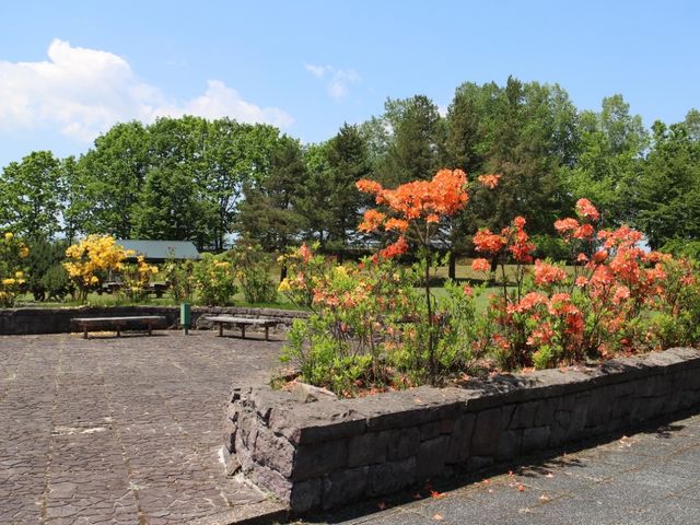 �c�c�W���炭_�V������