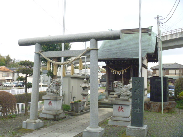 �����_��_���U�_��