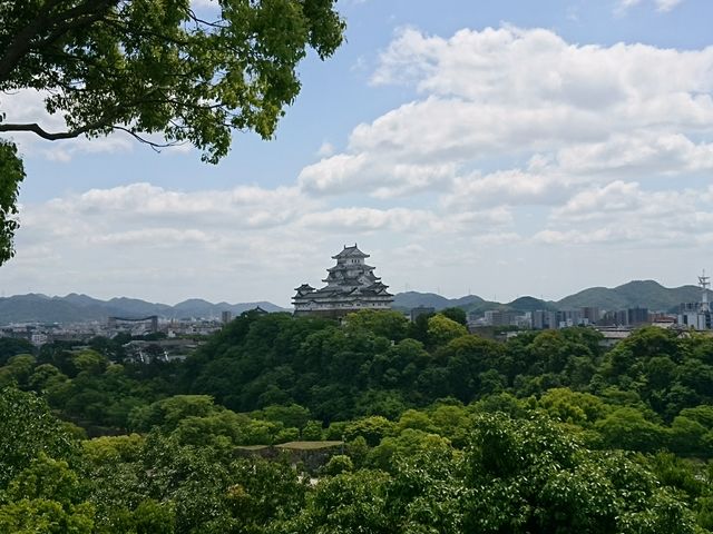 �X�̏�Ɍ��P�H��_�j�R�z���r����