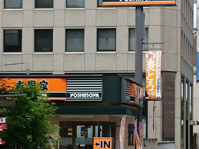 ����������̋g���2�������R�v���X�̓��e�ʐ^1