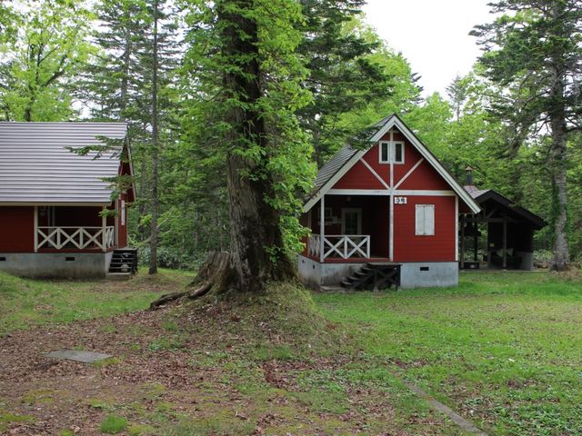 �P�r��_���R�̑��L�����v��