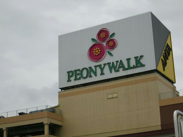 ���ڂ���̃O���[�m �O���[�m �s�I�j�E�H�[�N�����R�X�̓��e�ʐ^1