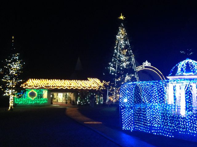 ���C�g�A�b�v_�z�e���@�T���o���[�ߐ{�@�A�N�A�E���B�[�i�X