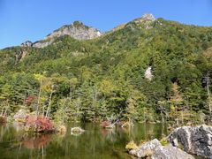 C[XgEbh̖_rւ̓eʐ^1