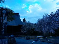 �Ԃ񂽂���̖{�o���ւ̓��e�ʐ^1