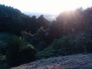 Ԃ񂽂̗[cPRÕ̓eʐ^1