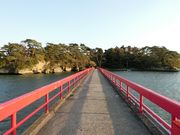 ɂǂ񂳂̕YRA̓eʐ^1