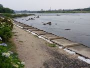 Ԃ񂽂̍n̓nՂ̓eʐ^1