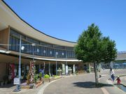 ڂ̂񓡉uԂ̌𗬊فv̂(VrWE)̓eʐ^1