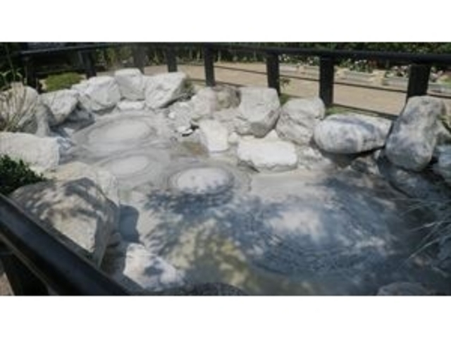 �V��n��_�V��n��